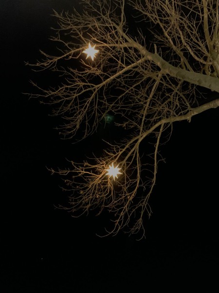 Светящиеся месяц и звёзды украсили сквер на ул. Марата и Мещерский бульвар