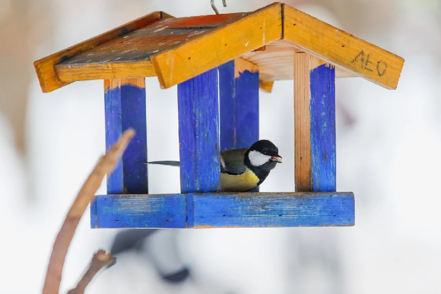 Нижегородцев снова ждет аномально теплая погода Нижегородцев снова ждет аномально теплая погода