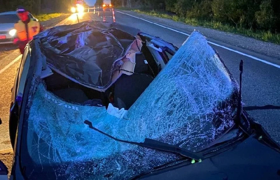 Пострадавших в ДТП из-за лося в Сергачском округе отпустили из больницы