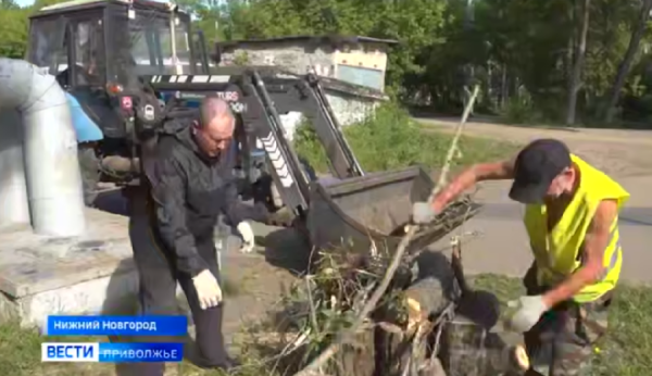 Мусор снова заполонил берега реки Борзовки в Нижнем Новгороде Мусор снова заполонил берега реки Борзовки в Нижнем Новгороде