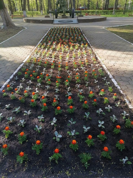 Более 12 тысяч цветов высадят в парках Нижнего Новгорода Более 12 тысяч цветов высадят в парках Нижнего Новгорода