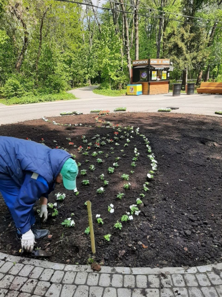 Более 12 тысяч цветов высадят в парках Нижнего Новгорода Более 12 тысяч цветов высадят в парках Нижнего Новгорода