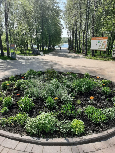 Более 12 тысяч цветов высадят в парках Нижнего Новгорода Более 12 тысяч цветов высадят в парках Нижнего Новгорода