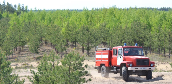 Управление ГОЧС Нижнего Новгорода напоминает нижегородцам о правилах пожарной безопасности и ответственности за их нарушение