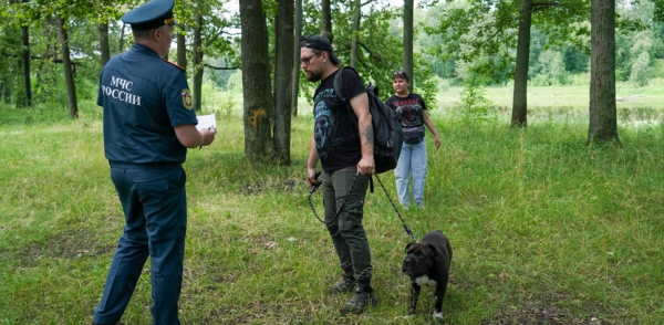 Защиту лесов в пожароопасный период усиливают в Нижнем Новгороде Защиту лесов в пожароопасный период усиливают в Нижнем Новгороде