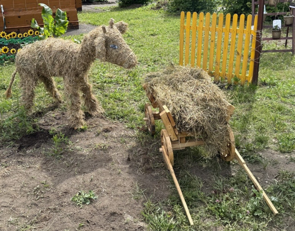 10 детских садов победили в конкурсе «На лучшую организацию летней оздоровительной работы» Автозаводского района Нижнего Новгорода
