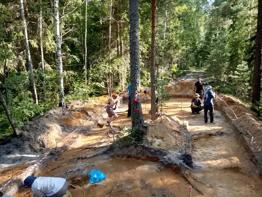 Древние марийские захоронения обнаружили в лесах Краснобаковского округа Древние марийские захоронения обнаружили в лесах Краснобаковского округа