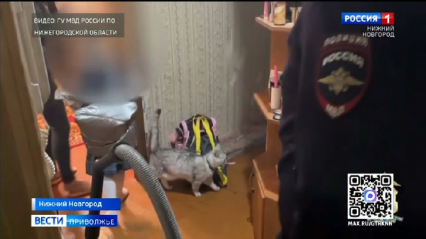 Рейд «Социального патруля» прошел в Нижнем Новгороде Рейд «Социального патруля» прошел в Нижнем Новгороде