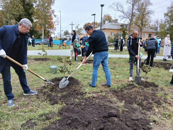 Школьники и педагоги высадили 30 каштанов в сквере Юпитерский в преддверии Дня учителя Школьники и педагоги высадили 30 каштанов в сквере Юпитерский в преддверии Дня учителя