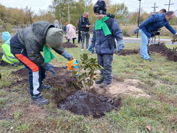Школьники и педагоги высадили 30 каштанов в сквере Юпитерский в преддверии Дня учителя Школьники и педагоги высадили 30 каштанов в сквере Юпитерский в преддверии Дня учителя