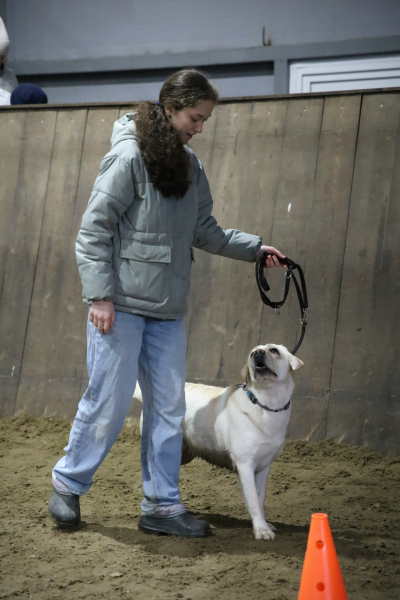Более 90 юных кинологов приняли участие в соревнованиях в городском зооцентре «Надежда»