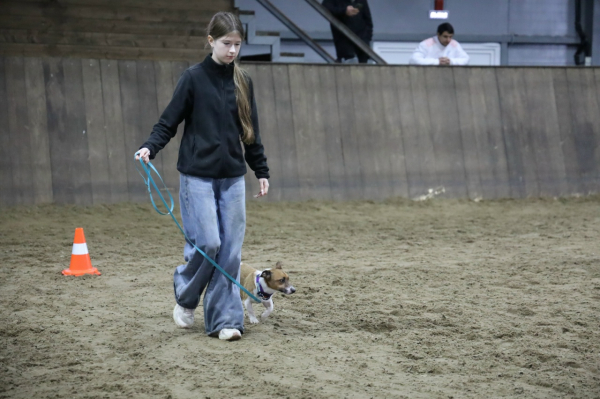 Более 90 юных кинологов приняли участие в соревнованиях в городском зооцентре «Надежда»