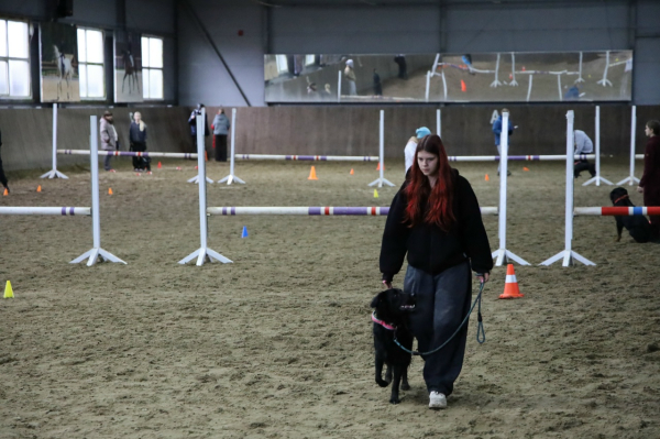 Более 90 юных кинологов приняли участие в соревнованиях в городском зооцентре «Надежда»