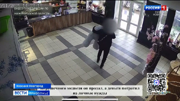 Дерзкое похищение плюшевого медведя средь бела дня раскрыли в Нижнем Новгороде Дерзкое похищение плюшевого медведя средь бела дня раскрыли в Нижнем Новгороде
